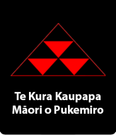 Te Kura Kaupapa Maori o Pukemiro logo 02